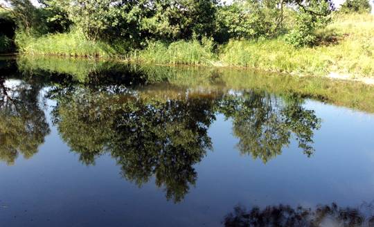 Природа Костюковщины